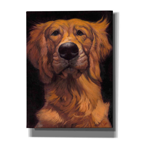 Image of 'Golden' by Thomas Fluharty, Canvas Wall Art