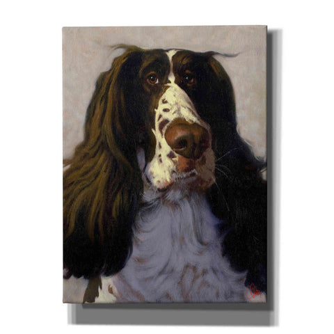 Image of 'Springer' by Thomas Fluharty, Canvas Wall Art
