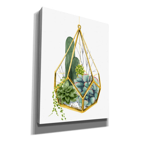 Image of 'Wild Terrarium IV' by Grace Popp, Canvas Wall Art