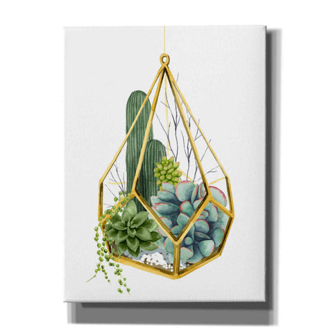 Image of 'Wild Terrarium IV' by Grace Popp, Canvas Wall Art