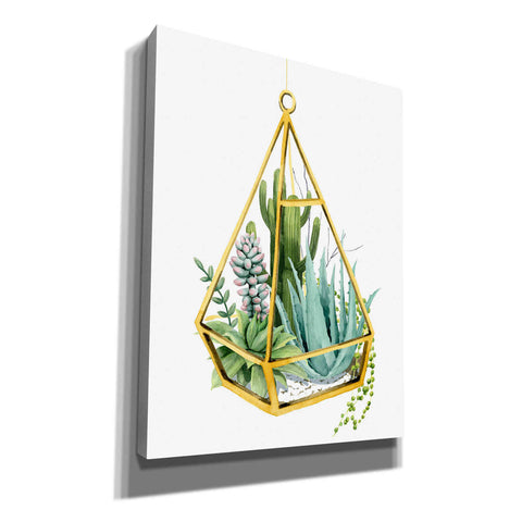 Image of 'Wild Terrarium III' by Grace Popp, Canvas Wall Art