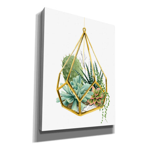 Image of 'Wild Terrarium II' by Grace Popp, Canvas Wall Art