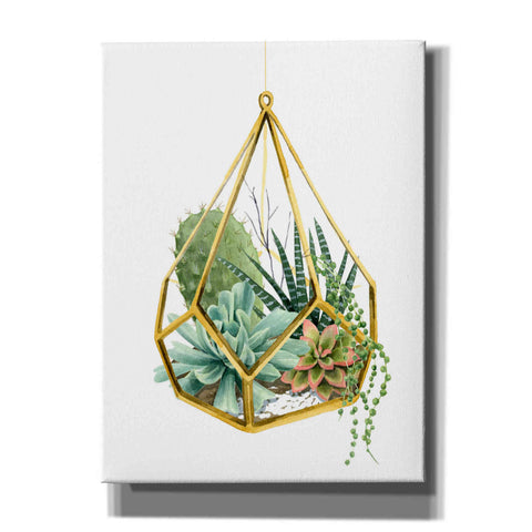 Image of 'Wild Terrarium II' by Grace Popp, Canvas Wall Art