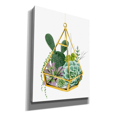 Image of 'Wild Terrarium I' by Grace Popp, Canvas Wall Art