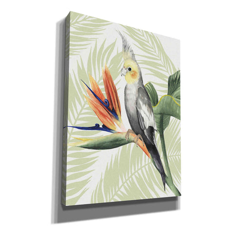 Image of 'Avian Paradise I' by Grace Popp, Canvas Wall Art
