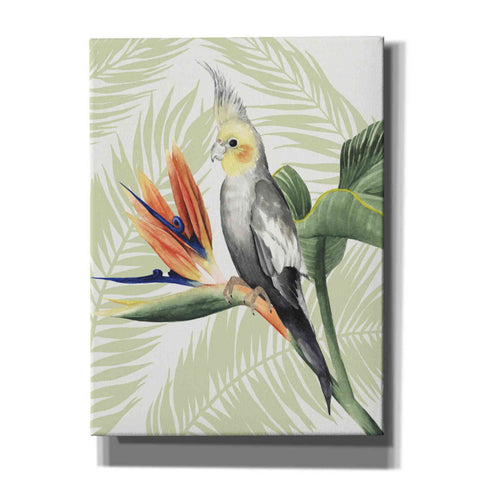 Image of 'Avian Paradise I' by Grace Popp, Canvas Wall Art