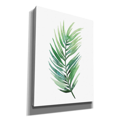 Image of 'Untethered Palm I' by Grace Popp, Canvas Wall Art