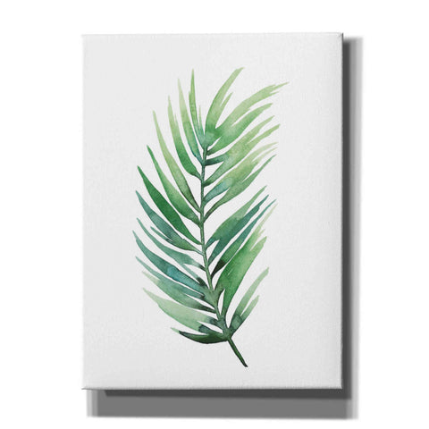 Image of 'Untethered Palm I' by Grace Popp, Canvas Wall Art