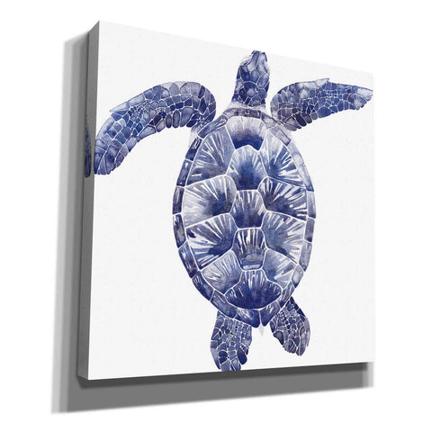 Image of 'Marine Turtle II' by Grace Popp, Canvas Wall Art