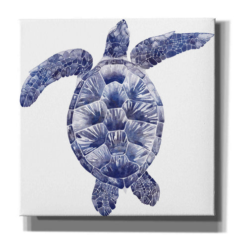 Image of 'Marine Turtle II' by Grace Popp, Canvas Wall Art