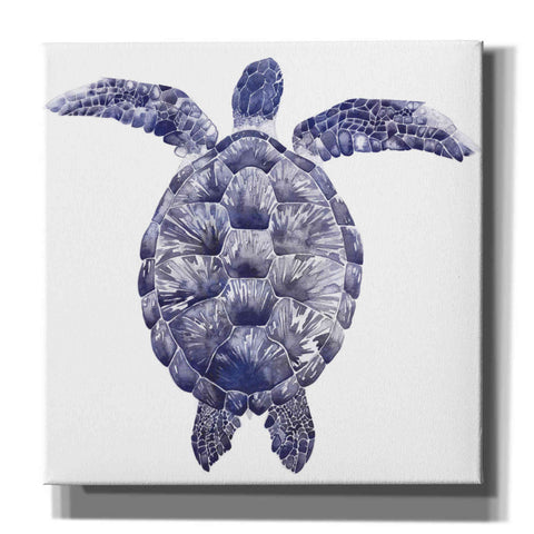 Image of 'Marine Turtle I' by Grace Popp, Canvas Wall Art
