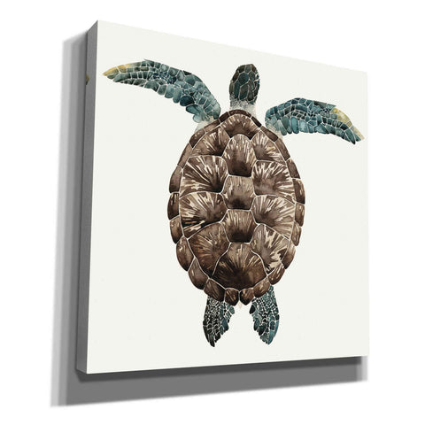 Image of 'Mosaic Turtle I' by Grace Popp, Canvas Wall Art