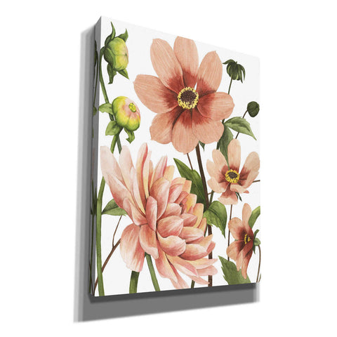 Image of 'Dahlia Spell II' by Grace Popp, Canvas Wall Art