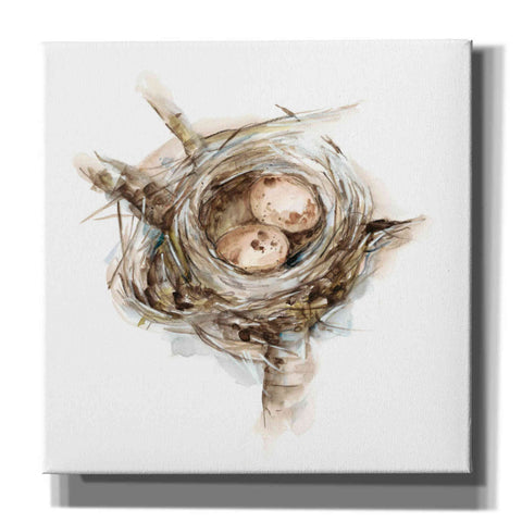 Image of 'Bird Nest Study I' by Ethan Harper, Canvas Wall Art