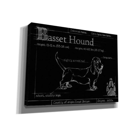 Image of 'Blueprint Bassett Hound' by Ethan Harper, Canvas Wall Art