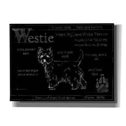 Image of 'Blueprint Westie II' by Ethan Harper, Canvas Wall Art