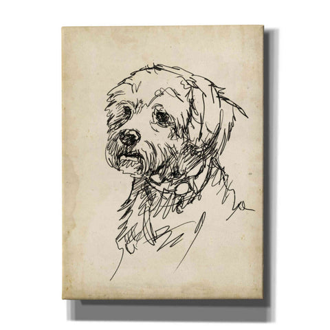 Image of 'Breed Studies III' by Ethan Harper, Canvas Wall Art