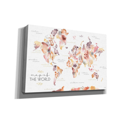 Image of 'Desert Blooms Map' by Laura Marshall, Canvas Wall Art