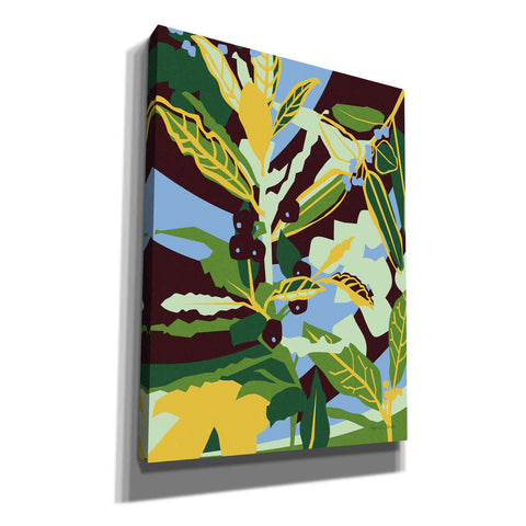 Image of 'Bay Leaf' by Megan Gallagher, Canvas Wall Art