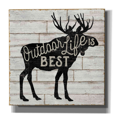 Image of 'Lake Lodge I' by Sue Schlabach, Canvas Wall Art