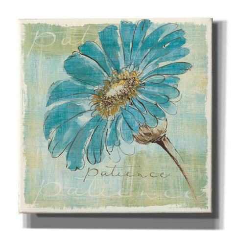 Image of 'Spa Daisies II' by Chris Paschke, Canvas Wall Art