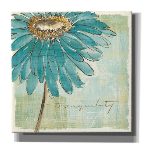Image of 'Spa Daisies III' by Chris Paschke, Canvas Wall Art