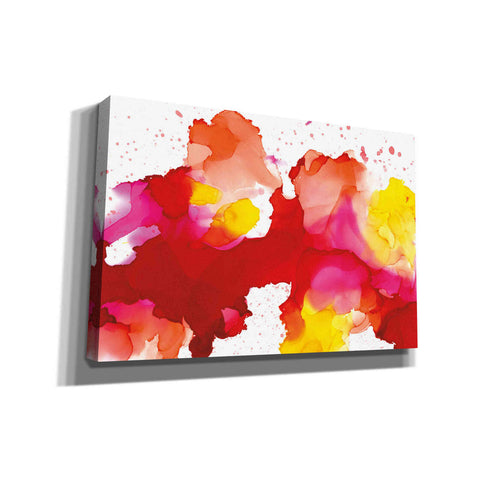 Image of 'Spatter' by Chris Paschke, Canvas Wall Art