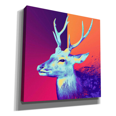Image of 'A Deer', Canvas Wall Art