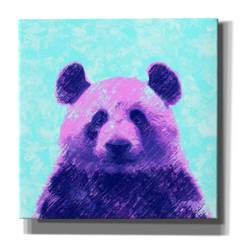 Image of 'Fluffy', Canvas Wall Art