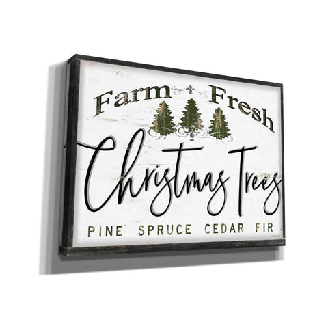 Image of 'Farm Fresh Christmas Trees II' by Cindy Jacobs, Canvas Wall Art