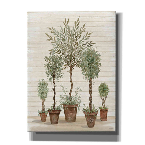Image of 'Potted Tree Collection' by Cindy Jacobs, Canvas Wall Art