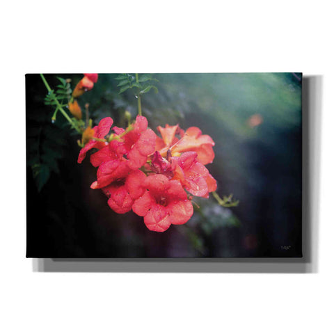 Image of 'Summer Rain' by Donnie Quillen, Canvas Wall Art