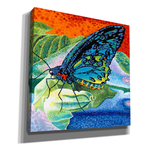 Image of 'Poised Butterfly II' by Carolee Vitaletti, Canvas Wall Art