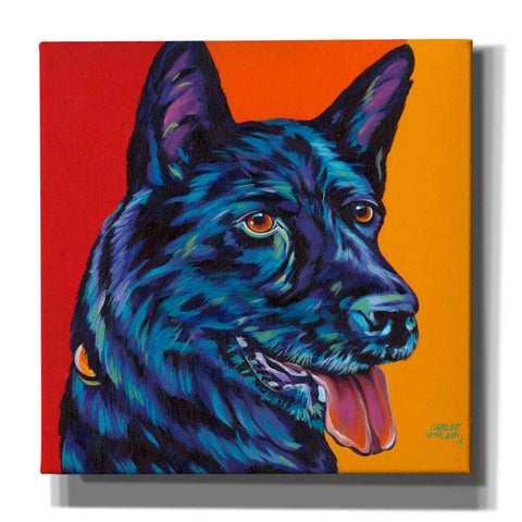 Image of 'Dogs in Color I' by Carolee Vitaletti, Canvas Wall Art