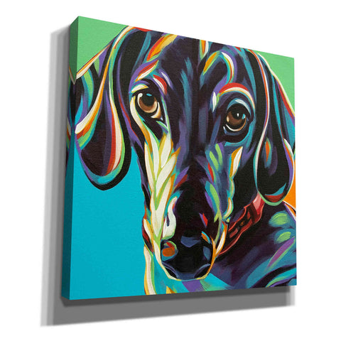 Image of 'Painted Dachshund I' by Carolee Vitaletti, Canvas Wall Art