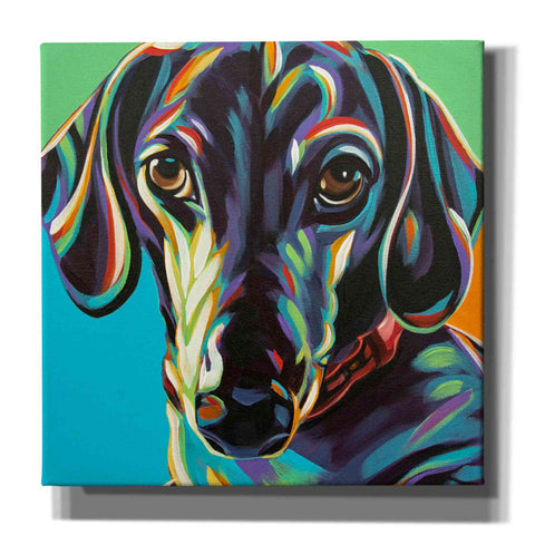 Image of 'Painted Dachshund I' by Carolee Vitaletti, Canvas Wall Art