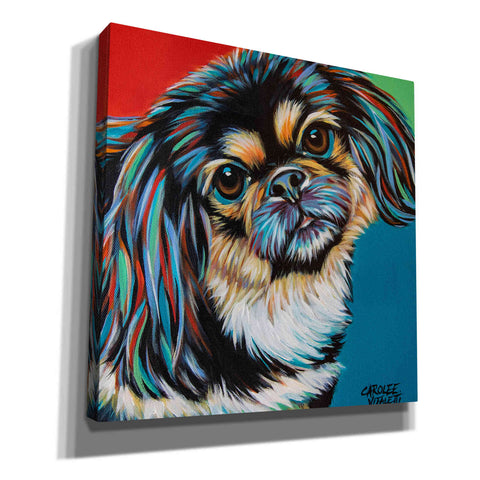 Image of 'Chroma Dogs IV' by Carolee Vitaletti, Canvas Wall Art