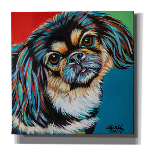 Image of 'Chroma Dogs IV' by Carolee Vitaletti, Canvas Wall Art