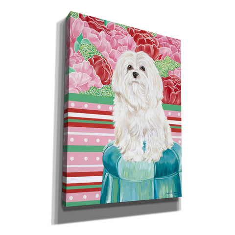 Image of 'Della Rose Maltese' by Carolee Vitaletti, Canvas Wall Art