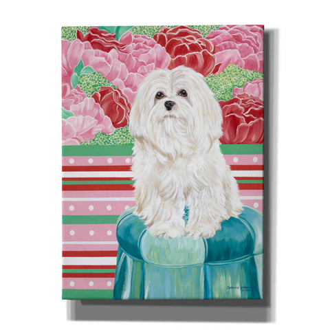 Image of 'Della Rose Maltese' by Carolee Vitaletti, Canvas Wall Art