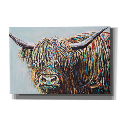 Image of 'Woolly Highland I' by Carolee Vitaletti, Canvas Wall Art