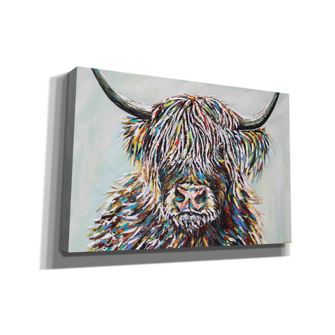 Image of 'Woolly Highland II' by Carolee Vitaletti, Canvas Wall Art