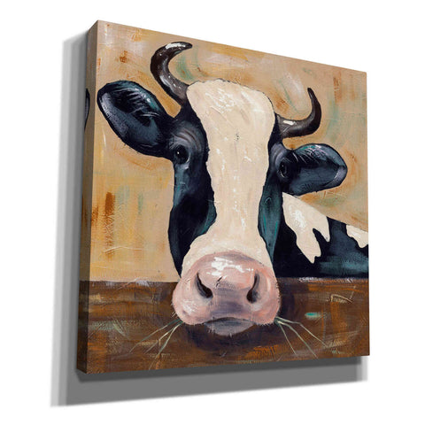 Image of 'Farm Life-Gunther' by Jade Reynolds, Canvas Wall Art