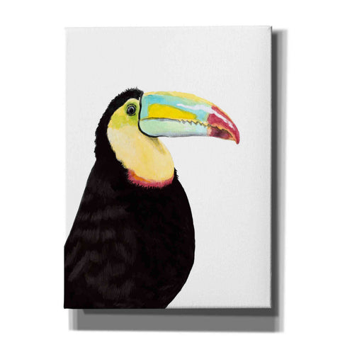 Image of 'Watercolor Toucan' by Naomi McCavitt, Canvas Wall Art