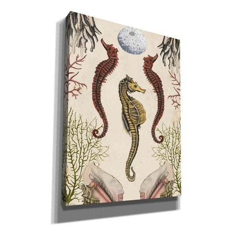Image of 'Antiquarian Menagerie-Seahorse' by Naomi McCavitt, Canvas Wall Art