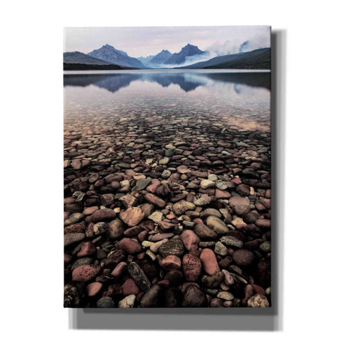 Image of 'Wild I' by PH Burchett, Canvas Wall Art