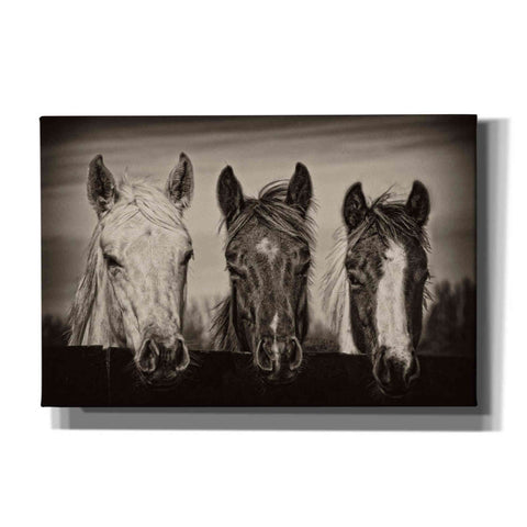 Image of 'Three Amigos I' by PH Burchett, Canvas Wall Art