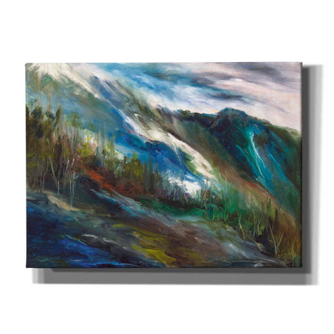 Image of 'Sierra Storm' by Sheila Finch, Canvas Wall Art