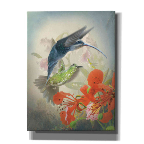 Image of 'Hummingbird Cycle II' by Steve Hunziker, Canvas Wall Art