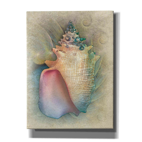 Image of 'Aquatica IV' by Steve Hunziker, Canvas Wall Art